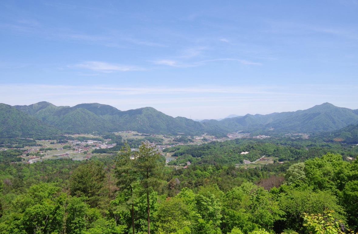 ���������ܲ��Ź��ߴ���Ʀ���� 900ml 3�ܥ��å� ��ȯ��������̤��ˤʤ�ޤ��� ����̵��������