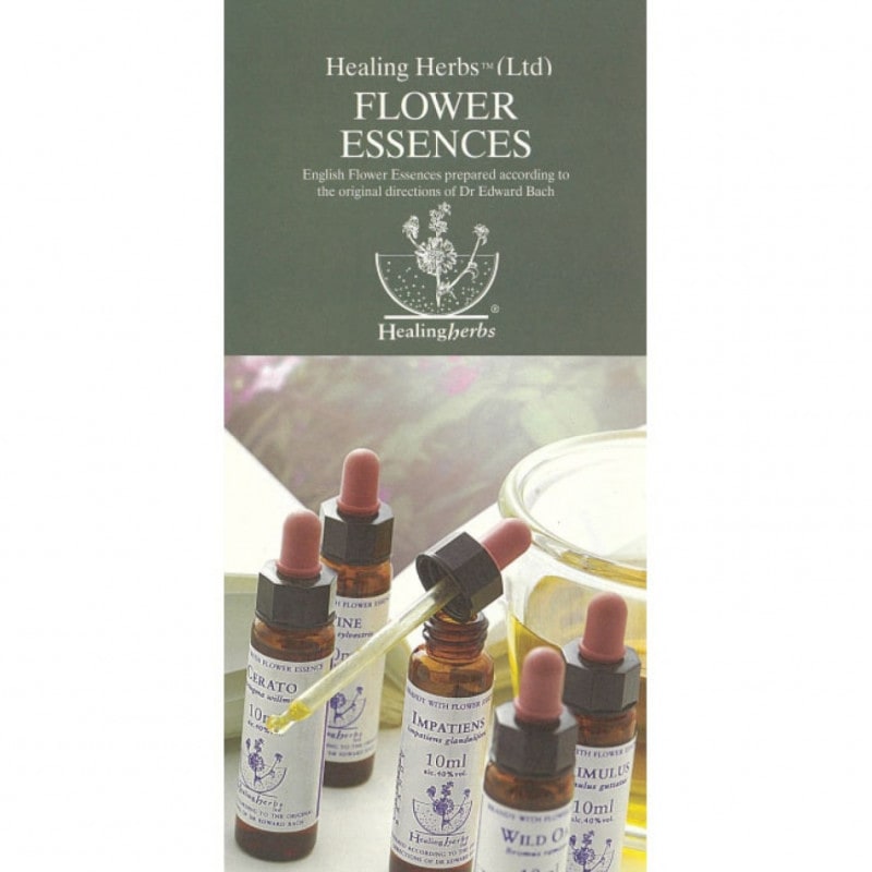 Healing Herbs パンフレット