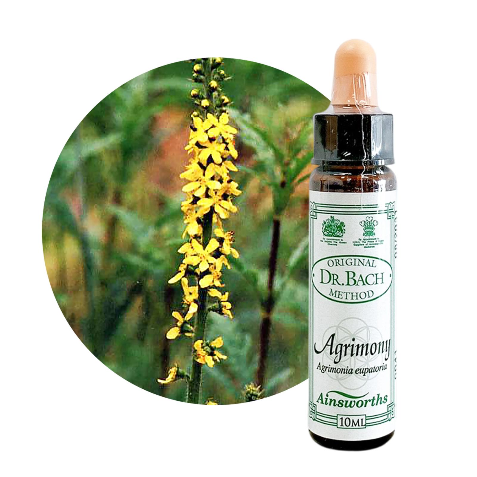 アグリモニー10ml[Agrimony]