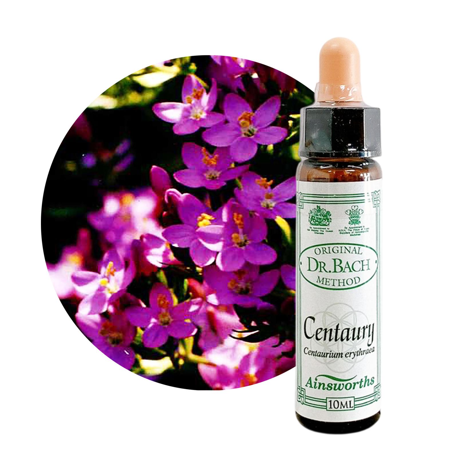 セントーリー10ml[Centaury]