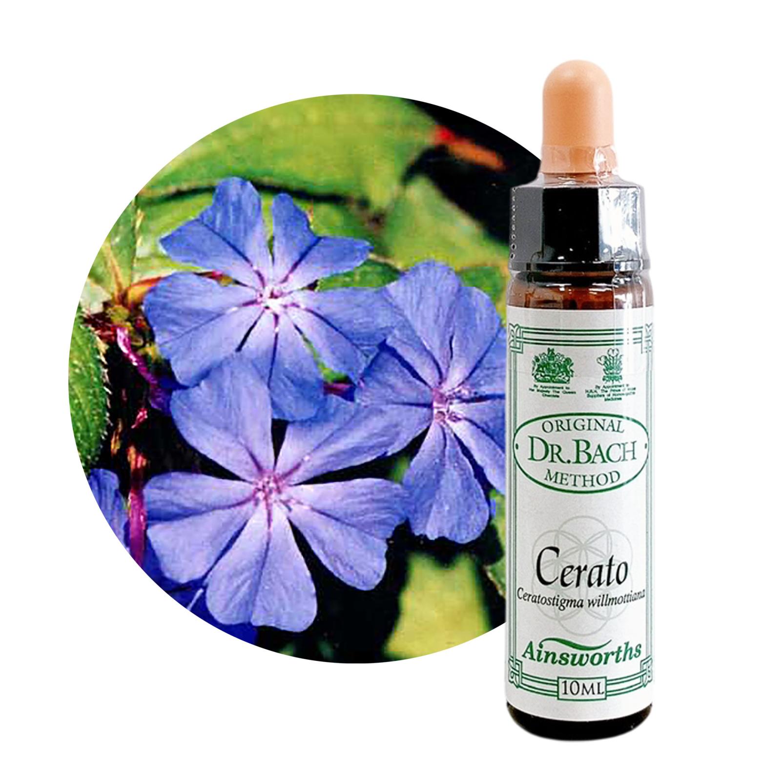 セラトー10ml[Cerato]