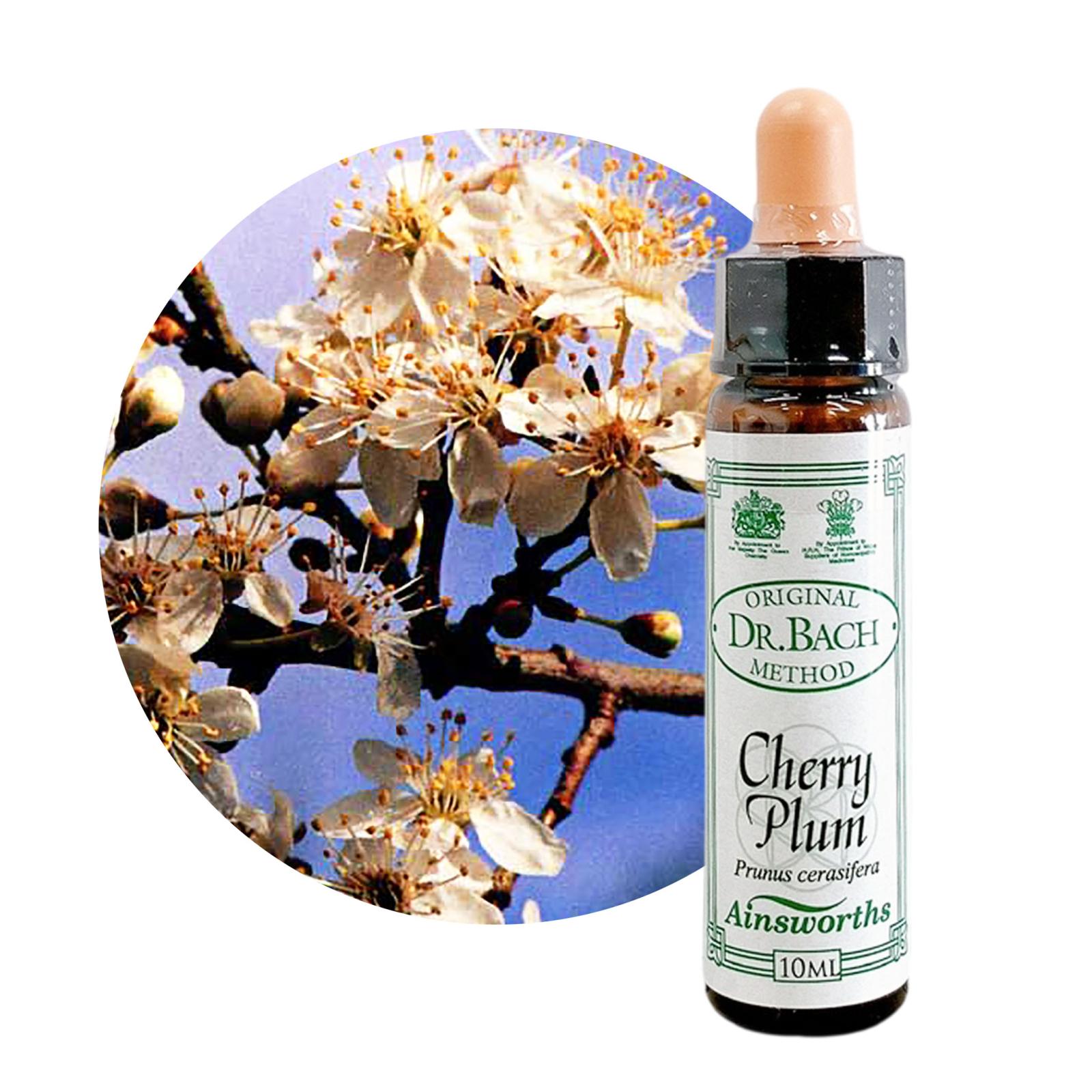 チェリープラム10ml[Cherry Plum]