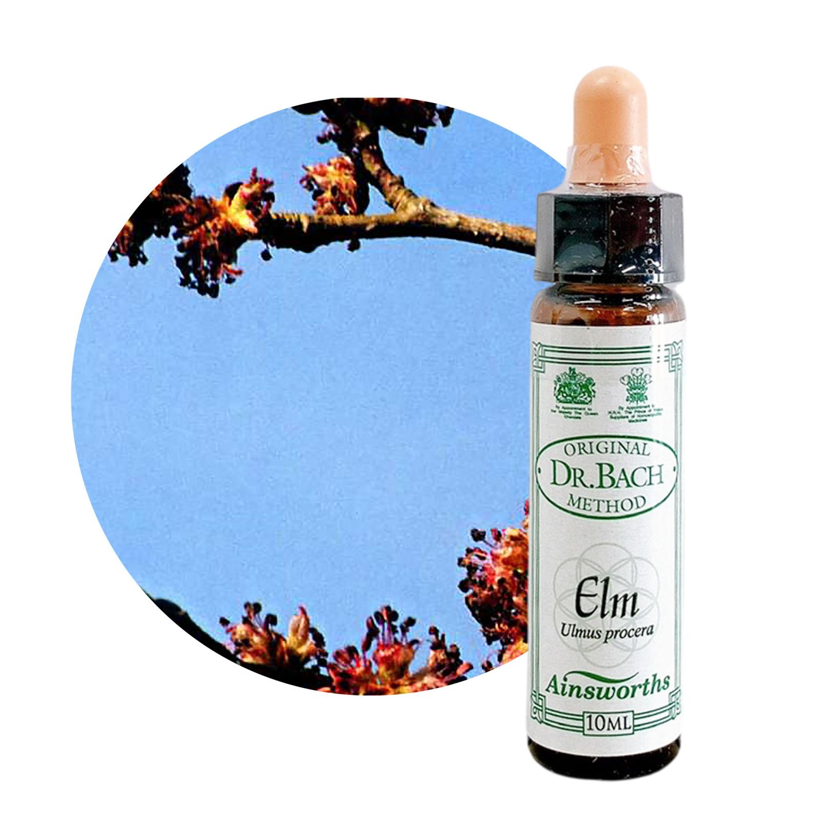 エルム10ml[Elm]