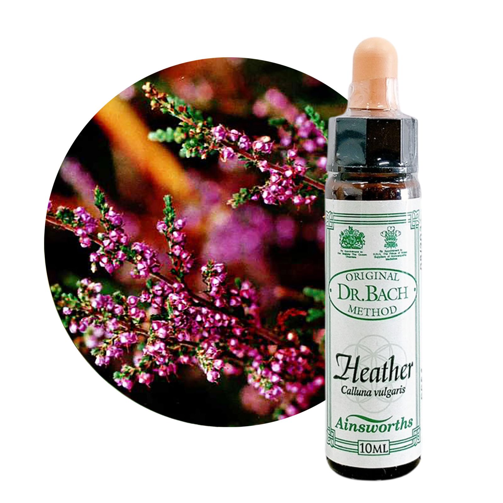 ヘザー10ml[Heather]