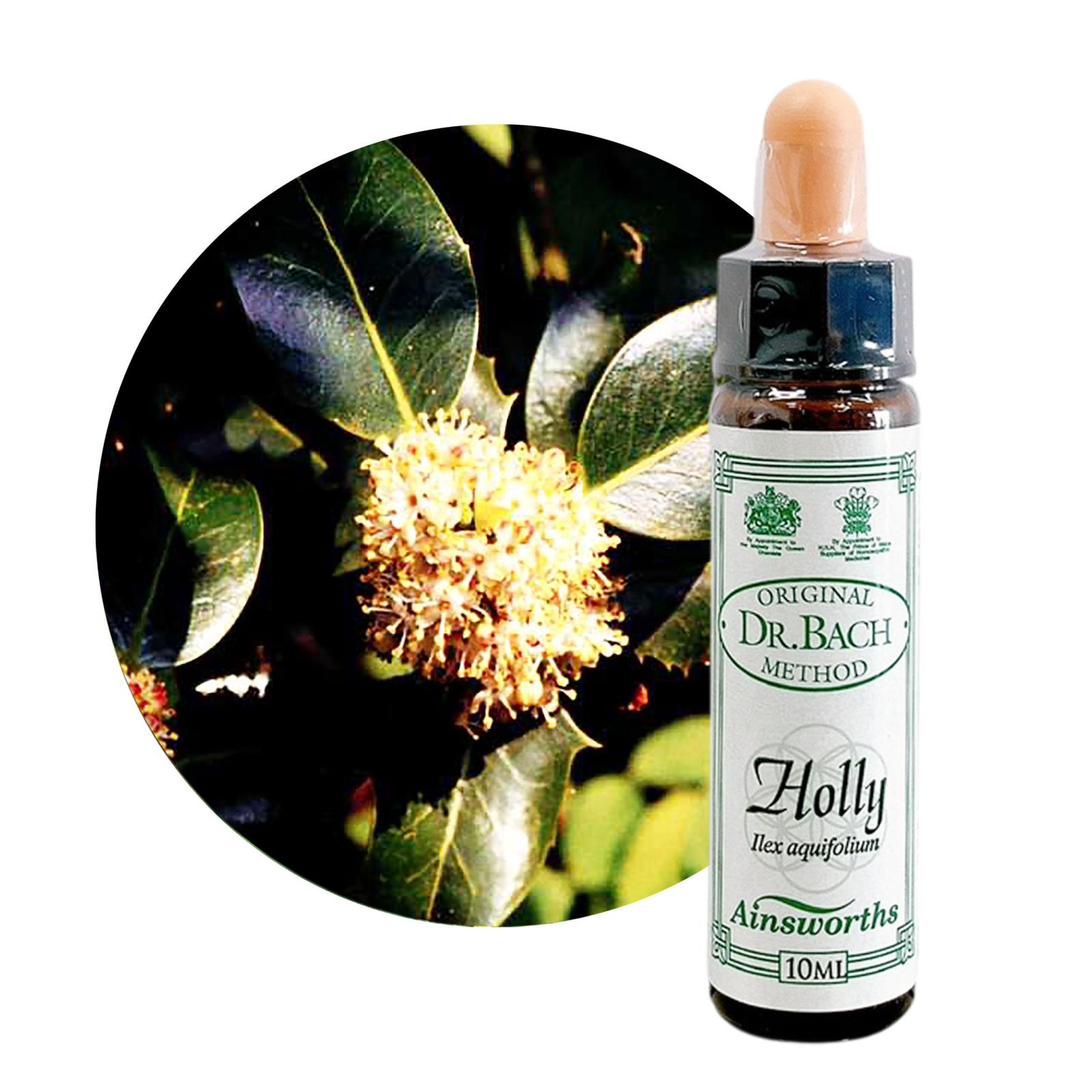 ホリー10ml[Holly]