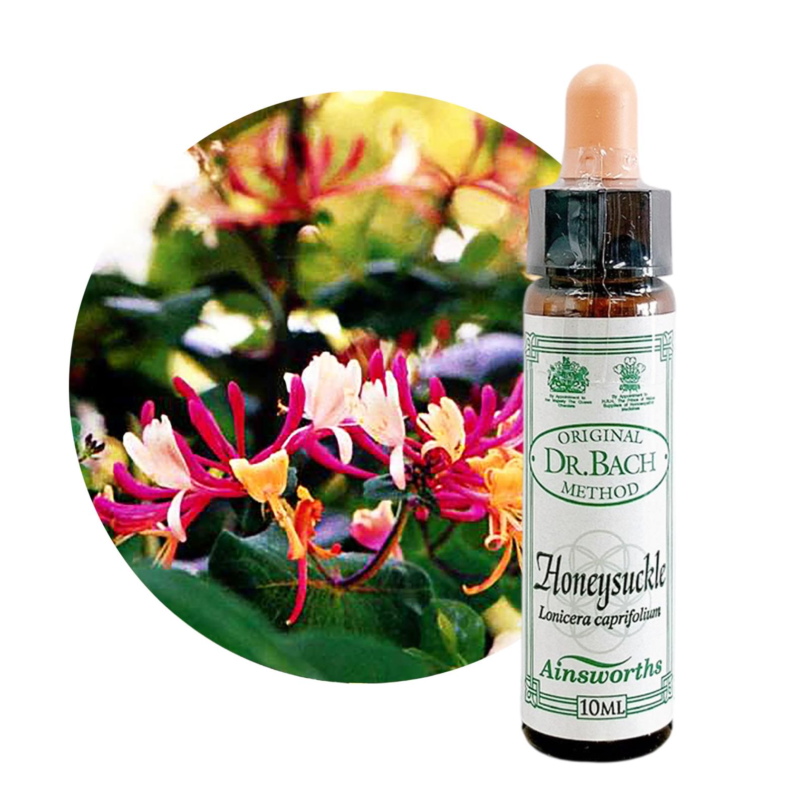 ハニーサックル10ml[Honeysuckle]