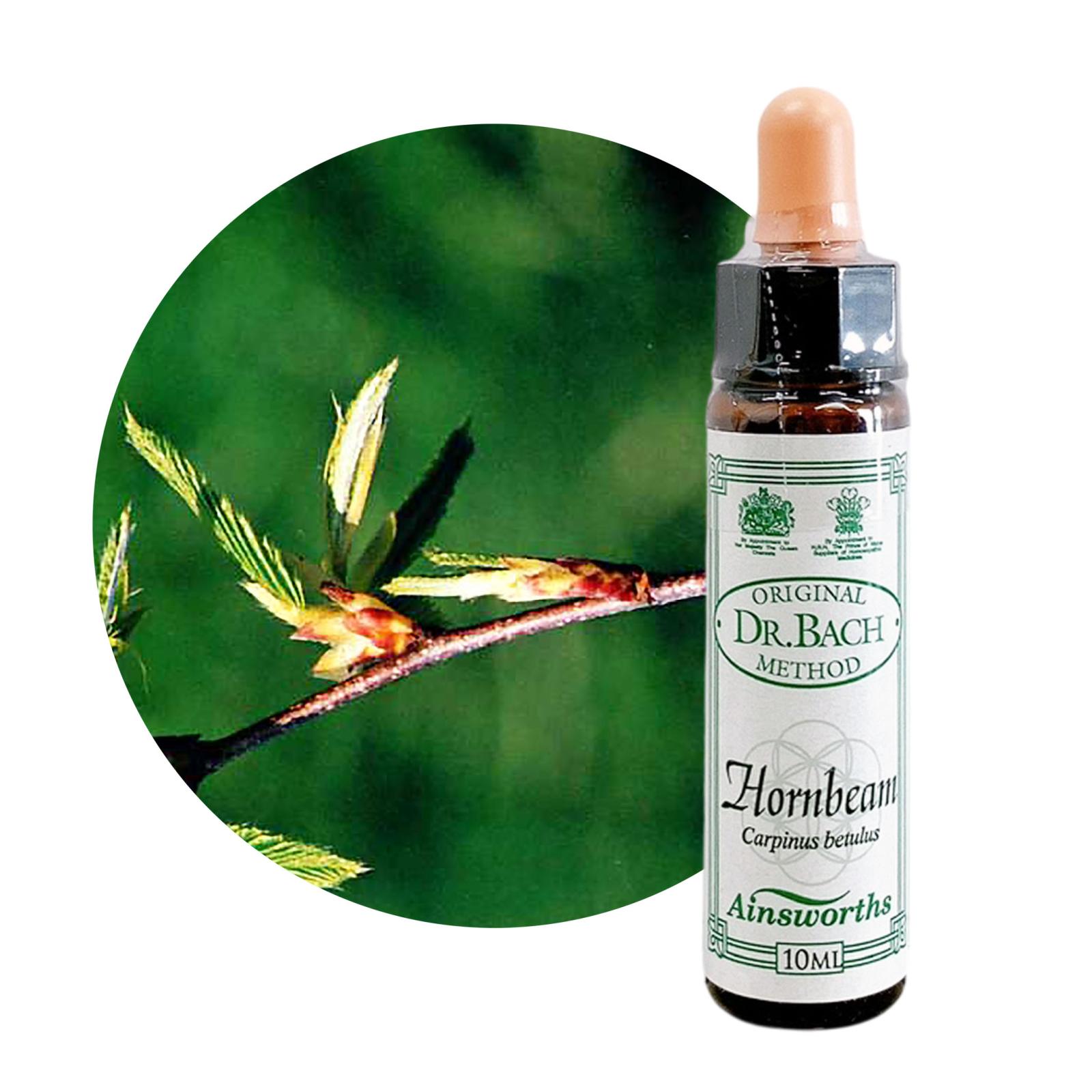 ホーンビーム10ml[Hornbeam]