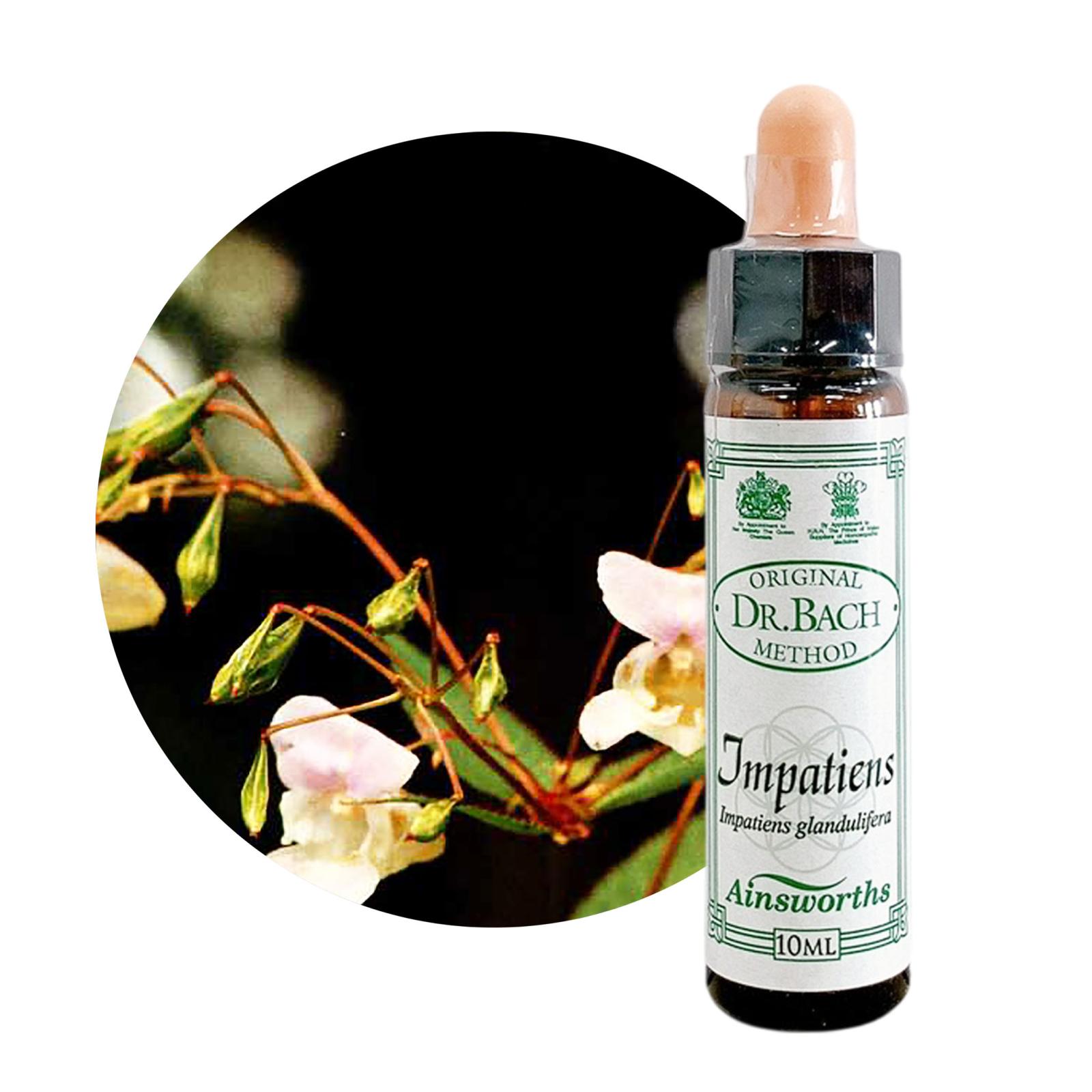 ファイブフラワーレメディエッセンス10ml[Five Flower] | ブランド一覧