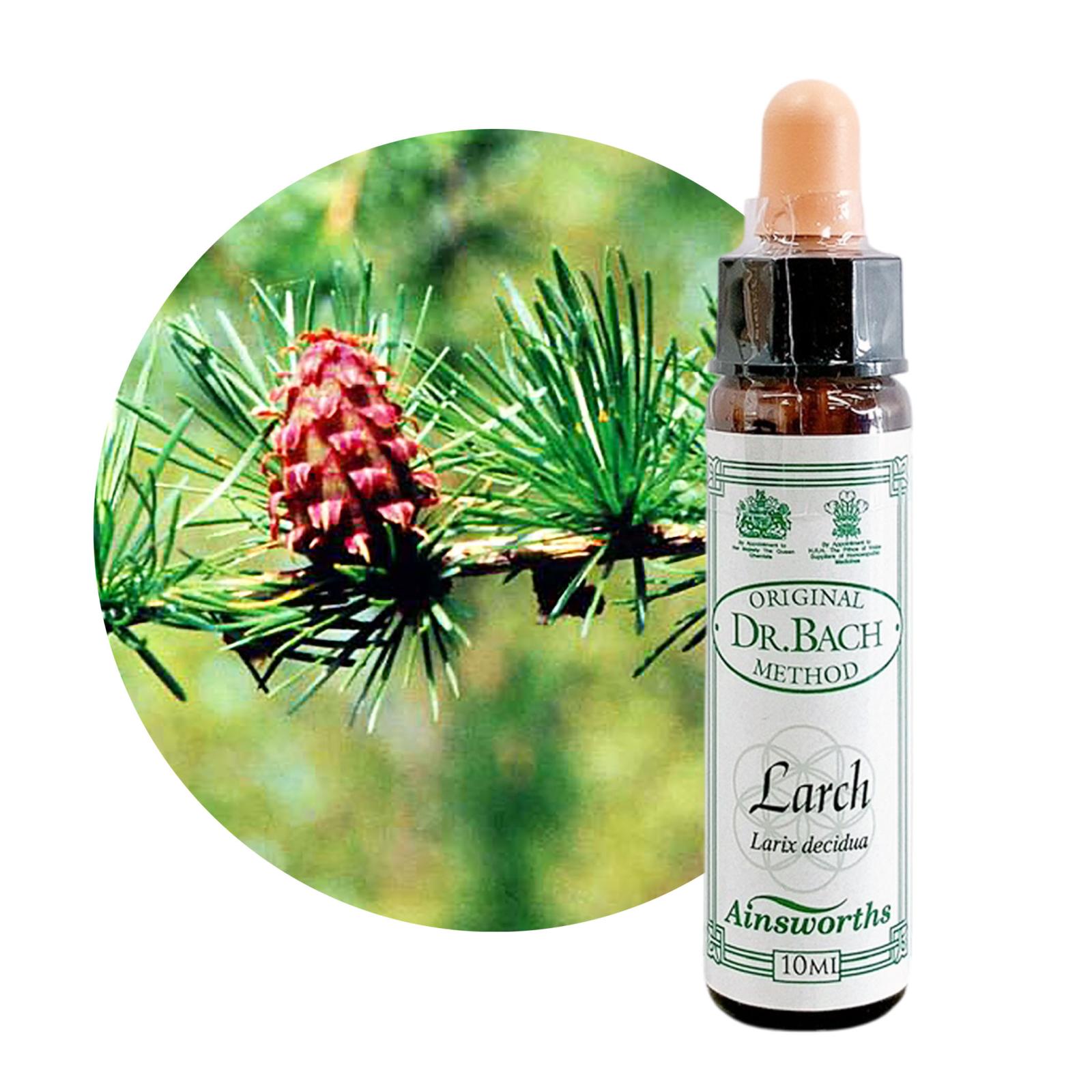 ラーチ10ml[Larch]