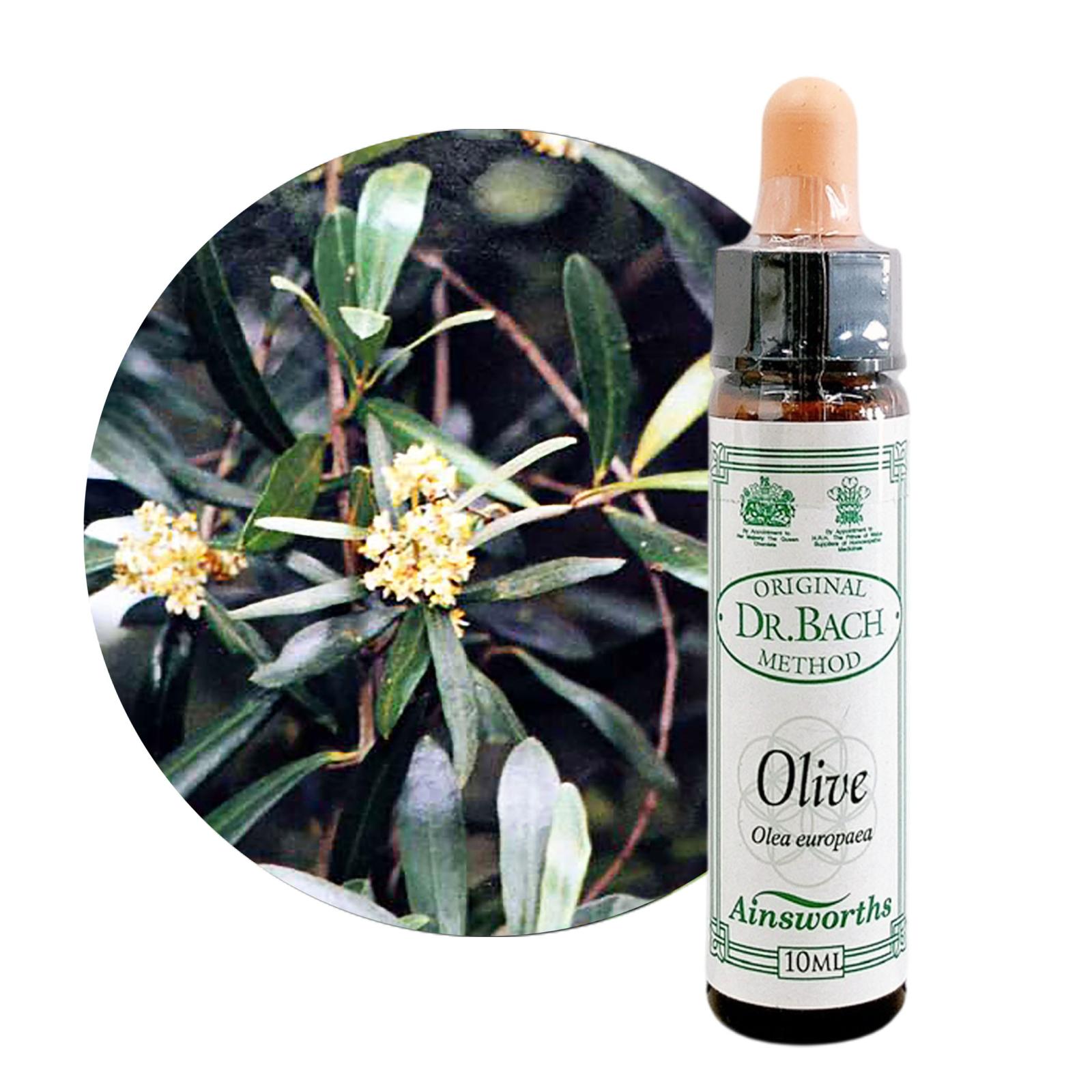 オリーブ10ml[Olive]