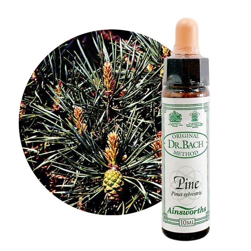 ラーチ10ml[Larch] | ブランド一覧,エインズワースバッチ