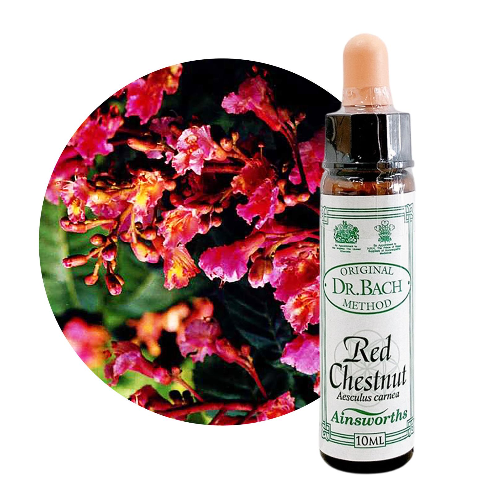 レッドチェストナット10ml[Red Chestnut]
