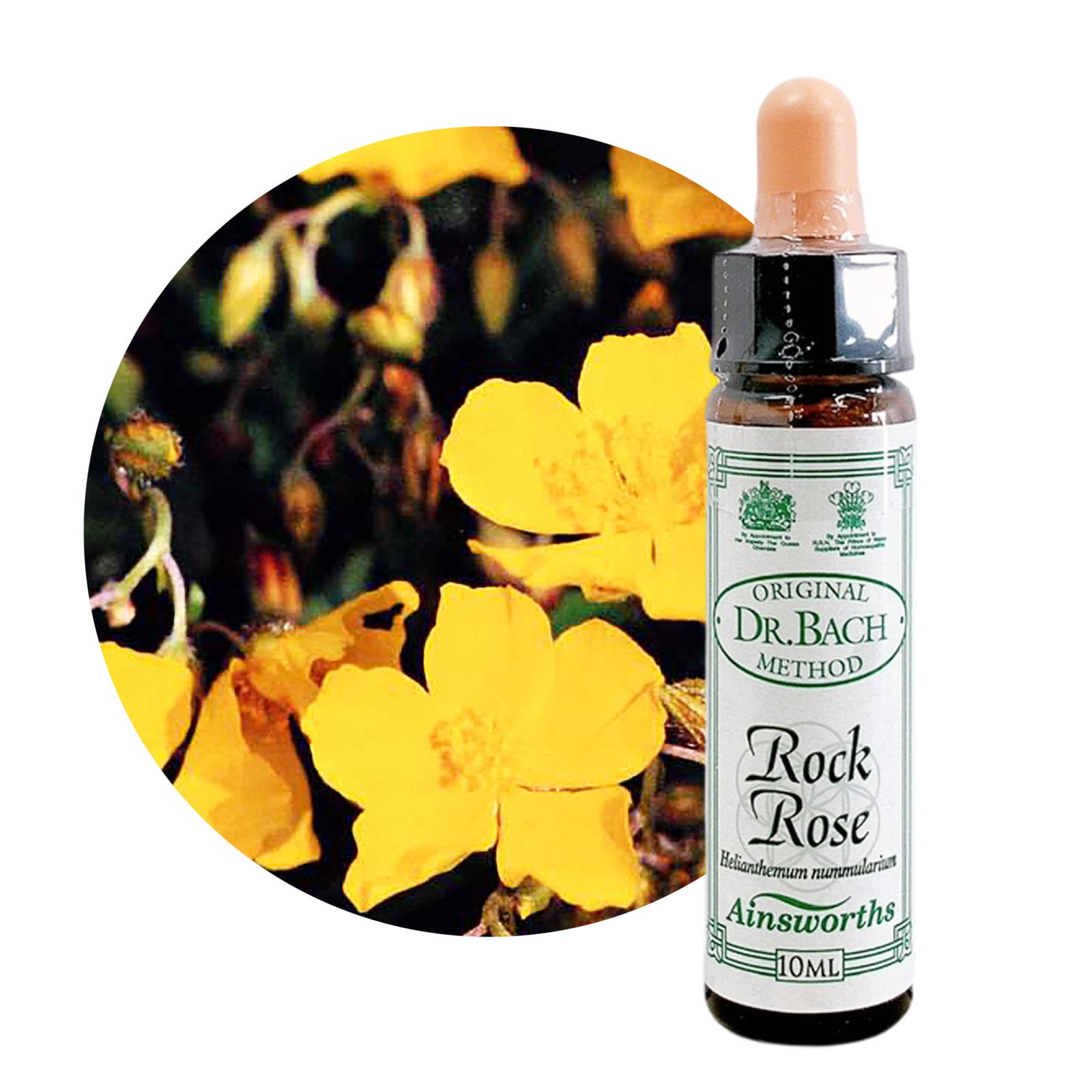 ロックローズ10ml[Rock Rose]