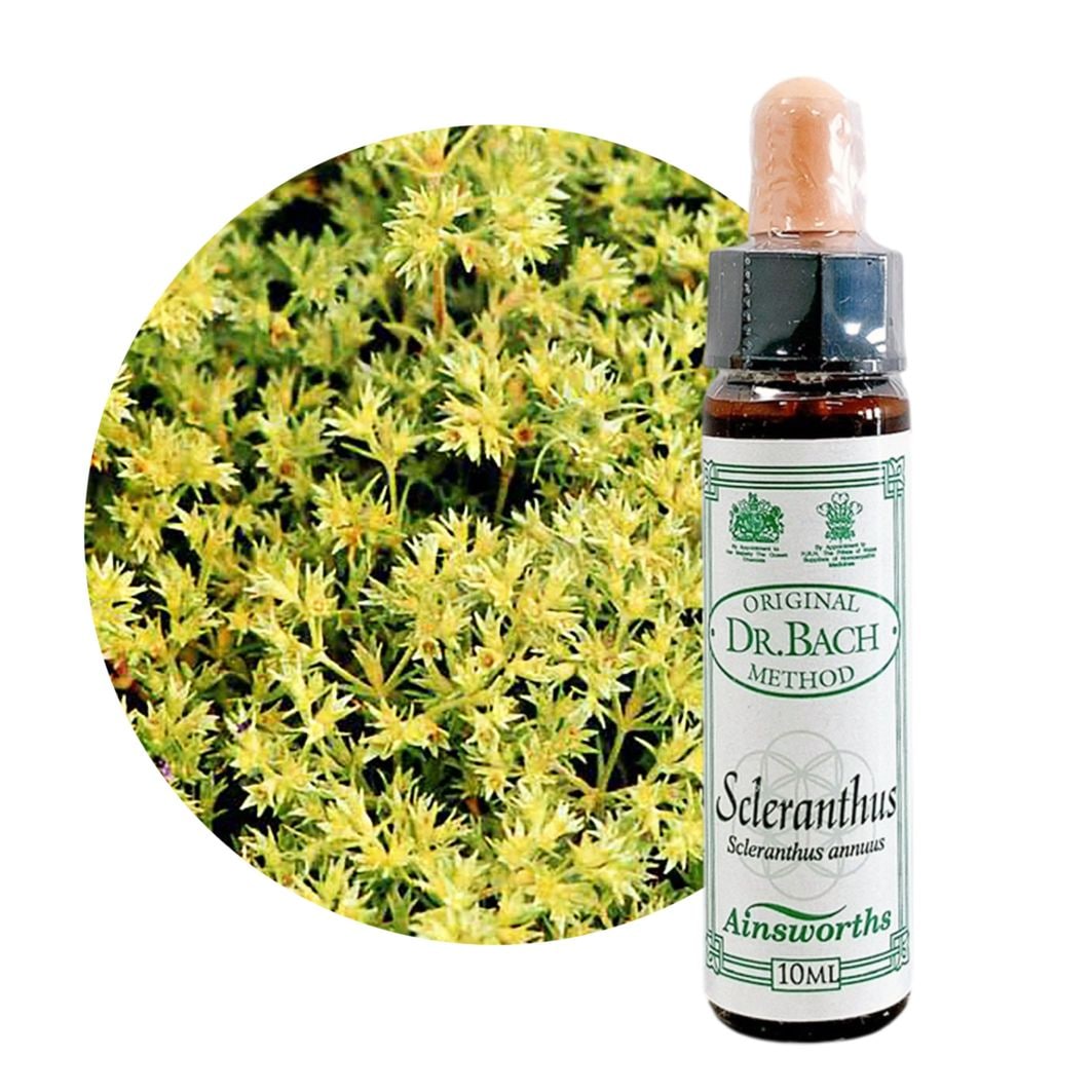 スクレランサス10ml[Scleranthus]