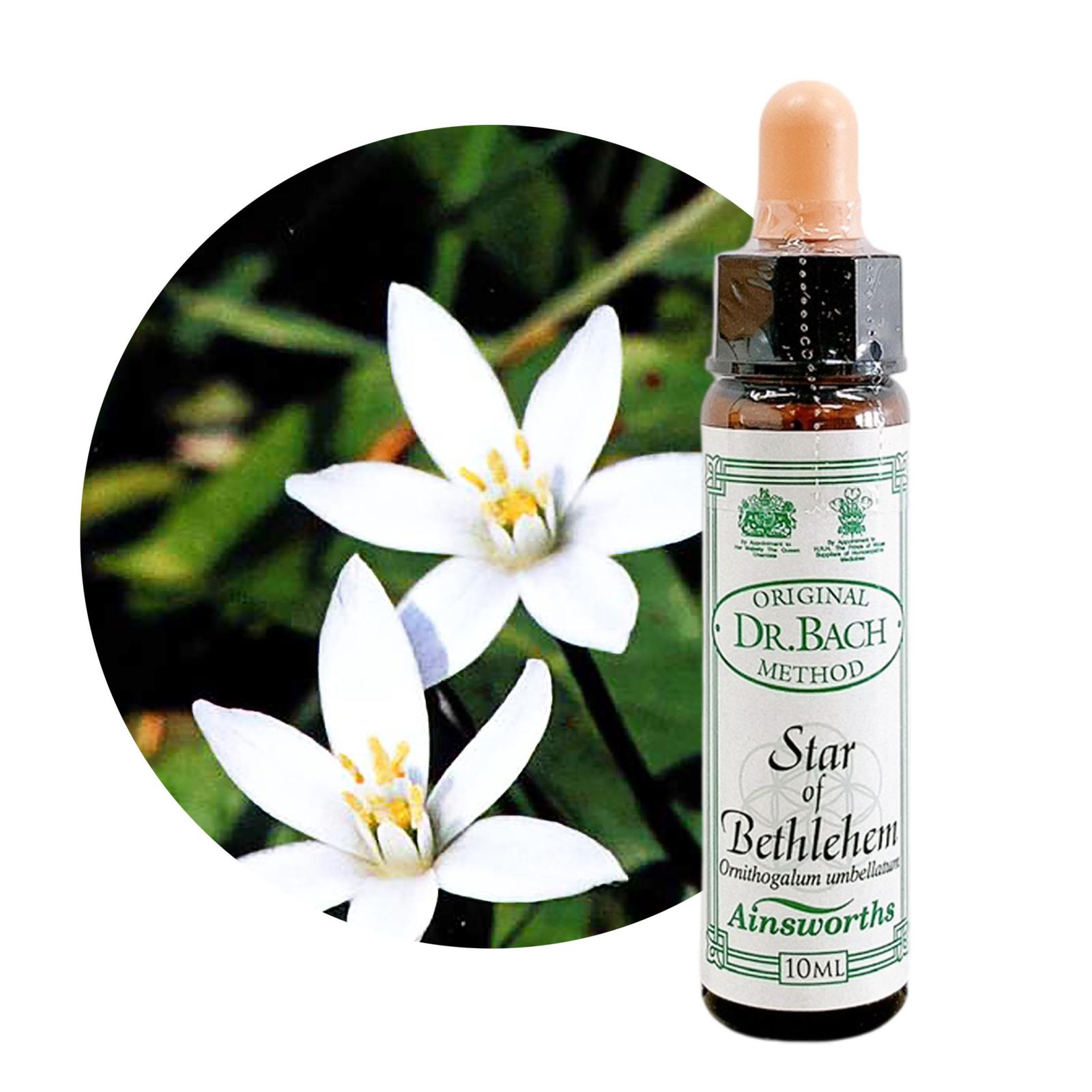スターオブベツレヘム10ml[Star of Bethlehem]