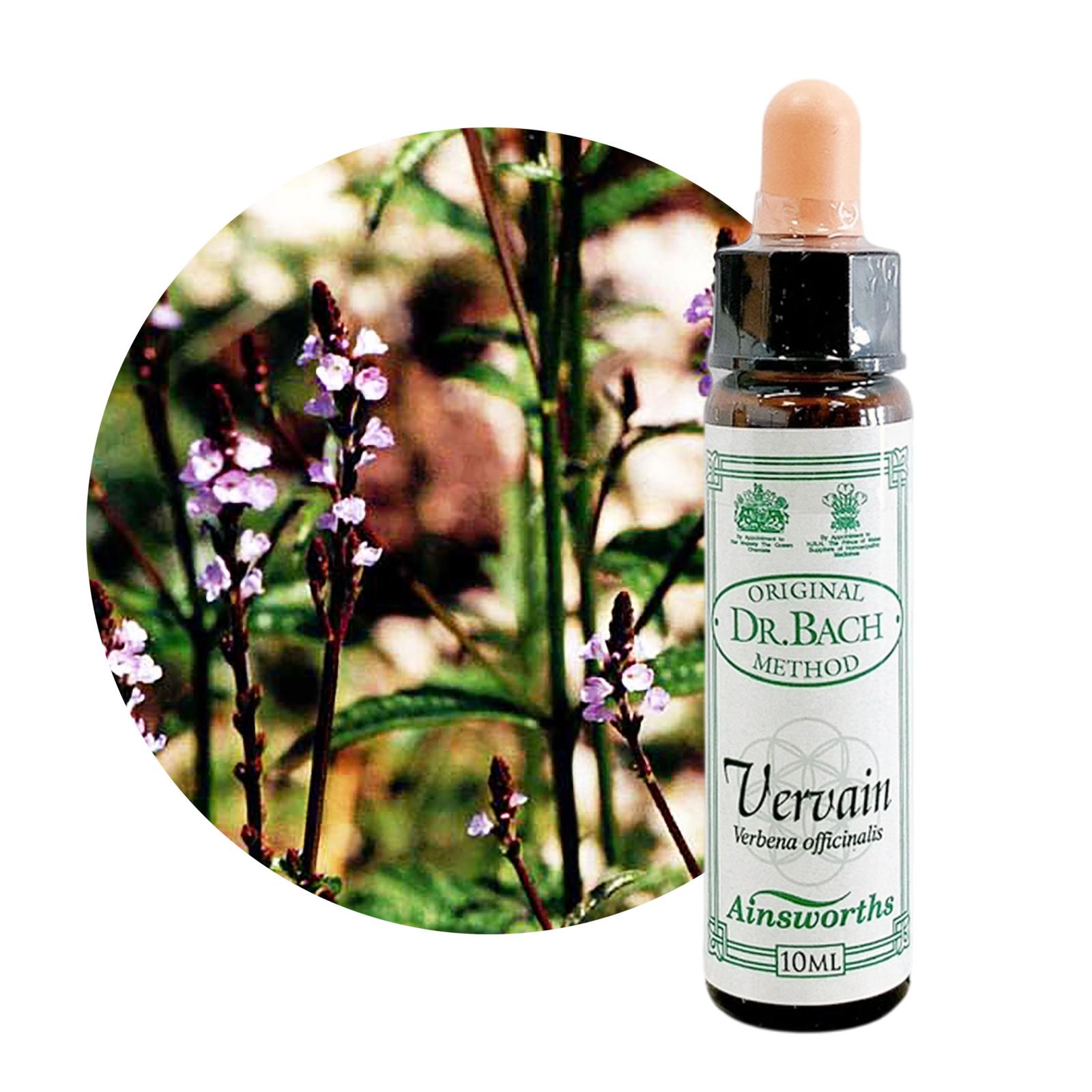 バーベイン10ml[Vervain]