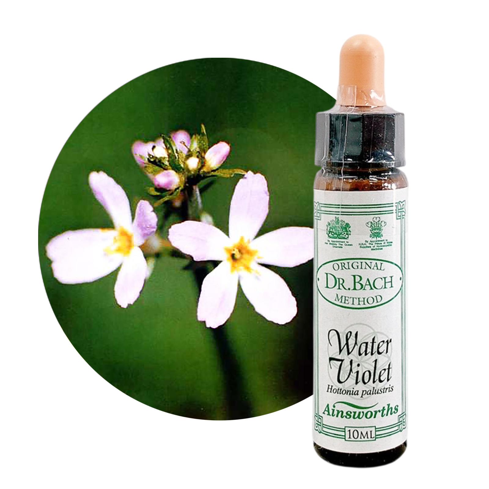 ウォーターバイオレット10ml[Water Violet]