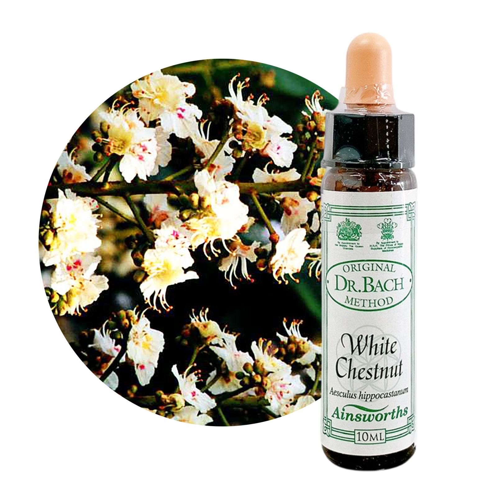 ホワイトチェストナット10ml[White Chestnut]