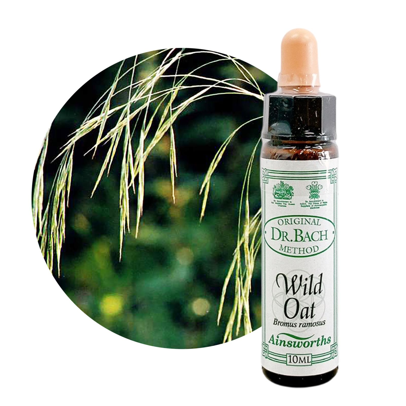ワイルドオート10ml[Wild Oat]
