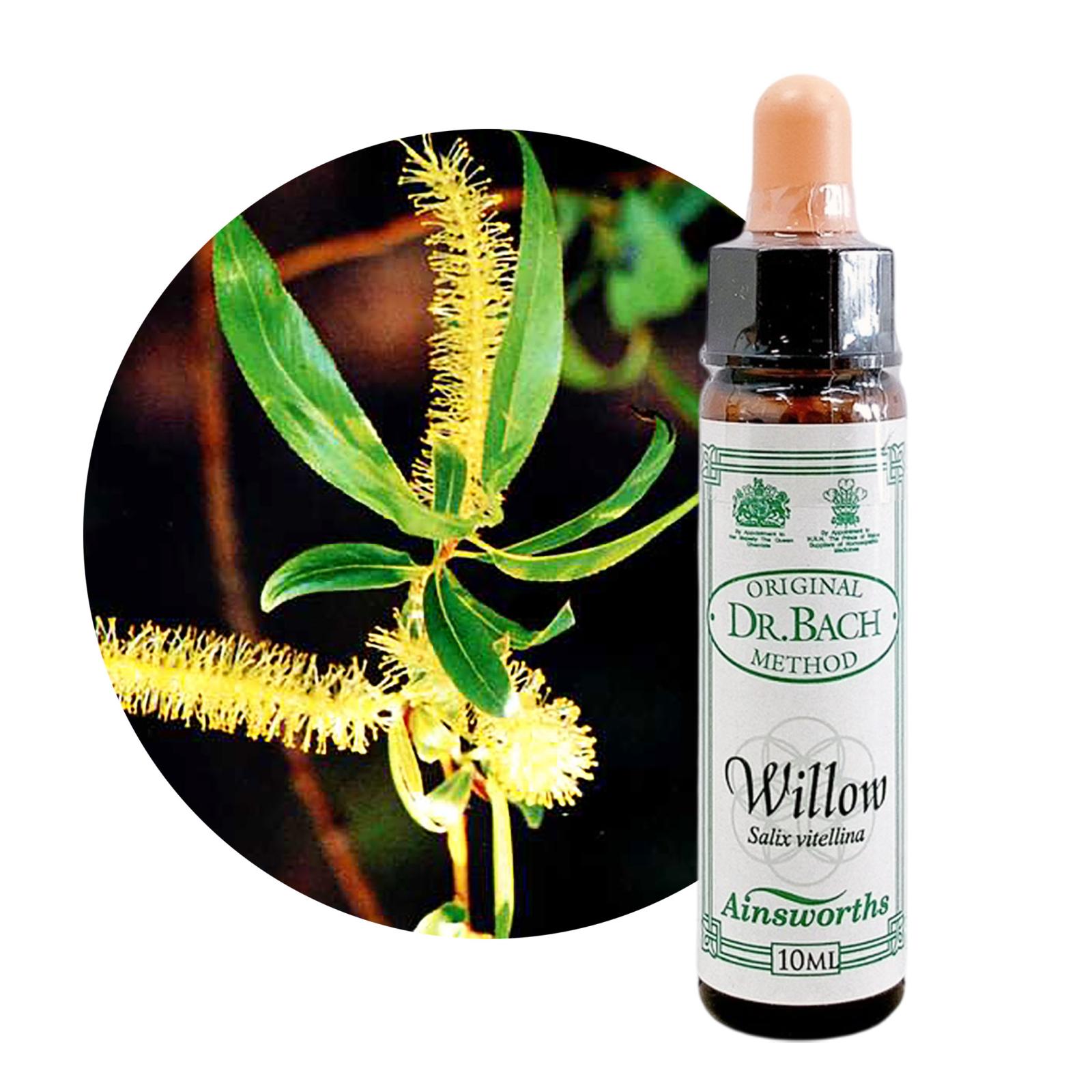 ウィロウ10ml[Willow]