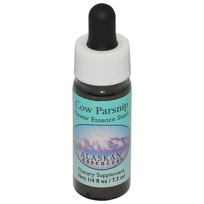 【専用】ソウルサポート(30ml)３本アラスカンエッセンス　フラワーエッセンス モーシャテル[Moschatel] | ブランド一覧,アラスカンエッセンス
