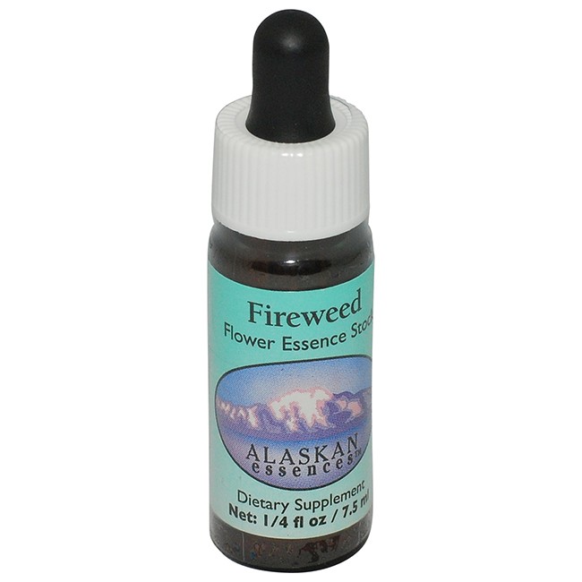 ノーザンライト(オーロラ)[Northern Lights](7.5ml) | ブランド一覧