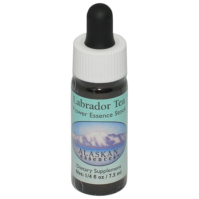 ワンサイデッドウィンターグリーン[One-Sided Wintergreen] | ブランド