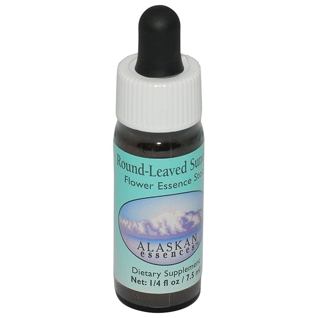 ラウンドリーブドサンデュー[Round-Leaved Sundew]