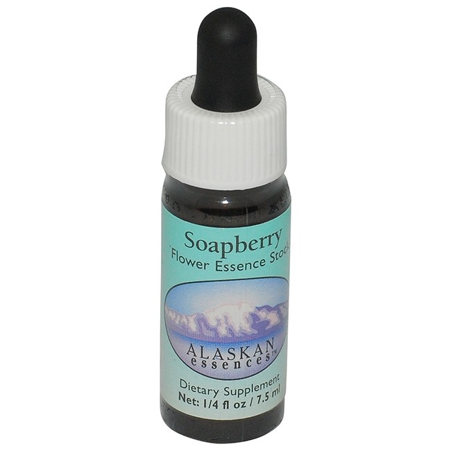 ソープベリー[Soapberry]