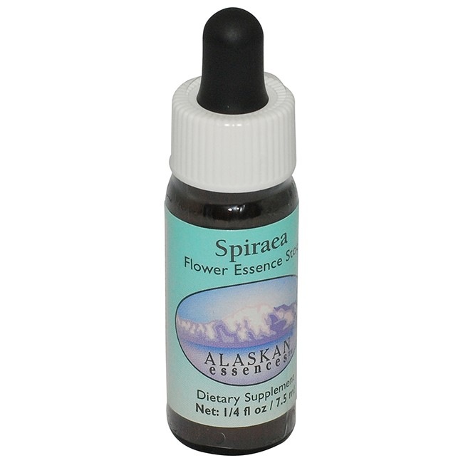 メディテーション[Meditation]『瞑想』 | ブランド一覧,オーストラリア