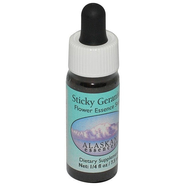 スティッキーゼラニウム[Sticky Geranium]