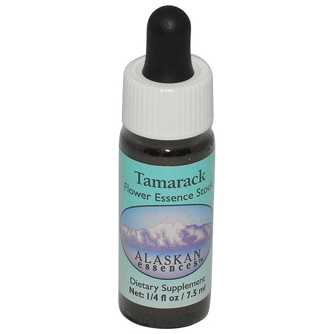 タマラック[Tamarack]