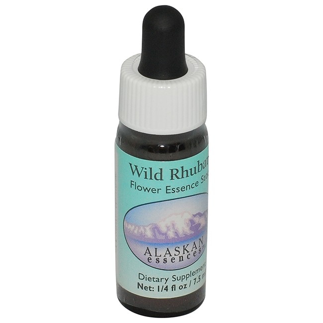 ワイルドルバーブ[Wild Rhubarb]