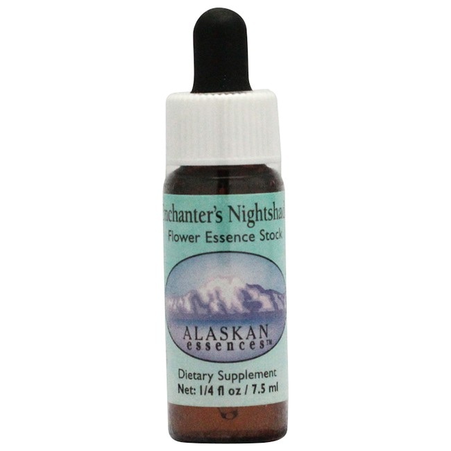 エンチャンターズナイトシェイド[Enchanter's Nightshade]