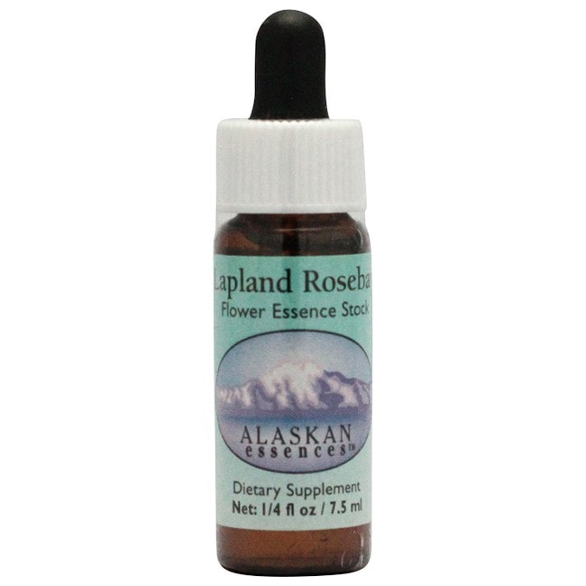 ラップランドローズベイ[Lapland Rosebay]