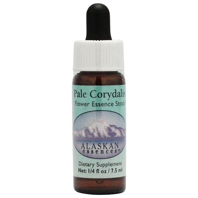 ペールコリダリス[Pale Corydalis]