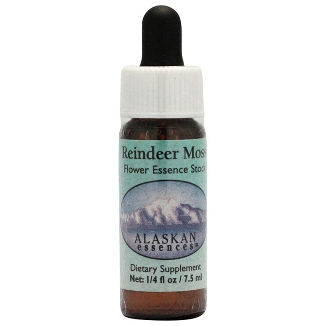 レインディアモス[Reindeer Moss]