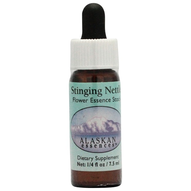 スティンギングネトル[Stinging Nettle]