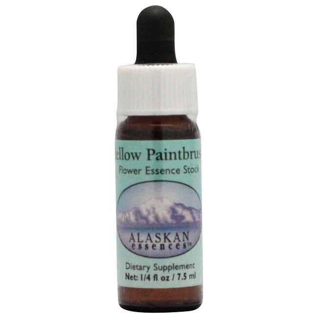 イエローペイントブラシ[Yellow Paintbrush]