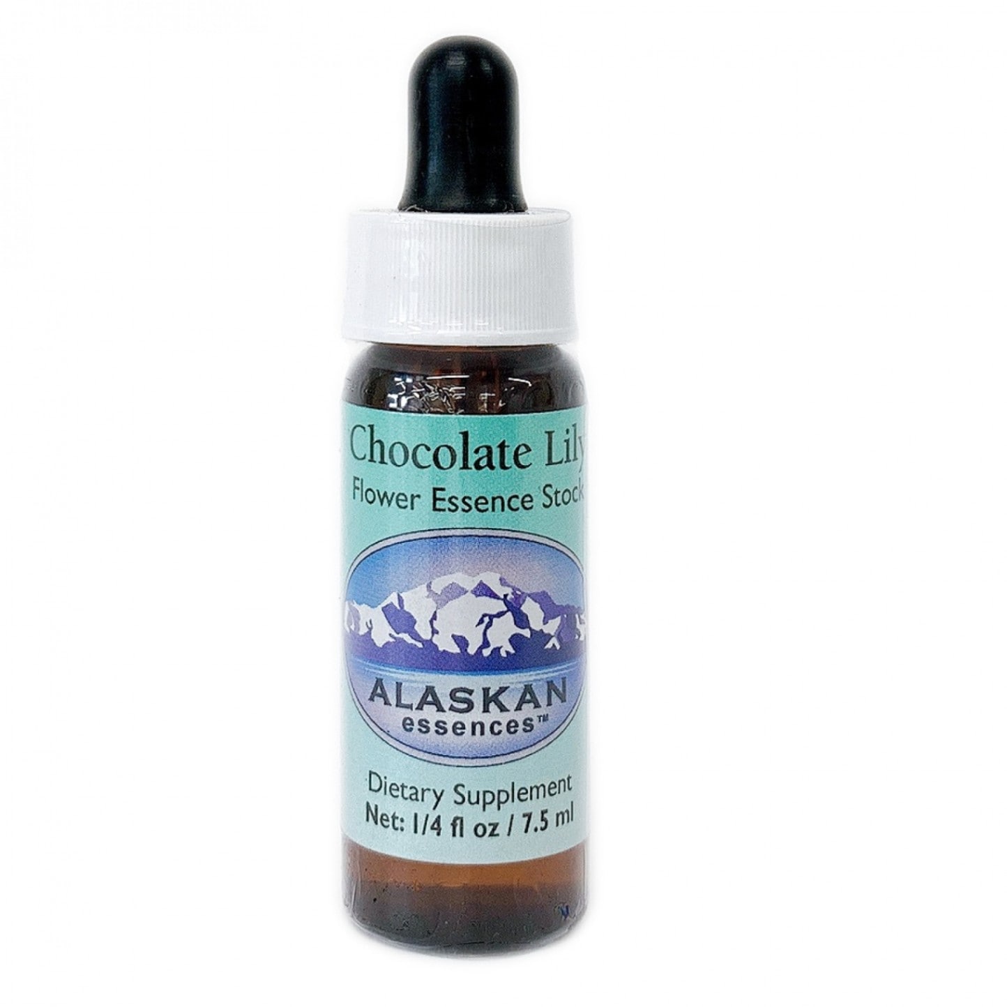 チョコレートリリー[Chocolate Lily]