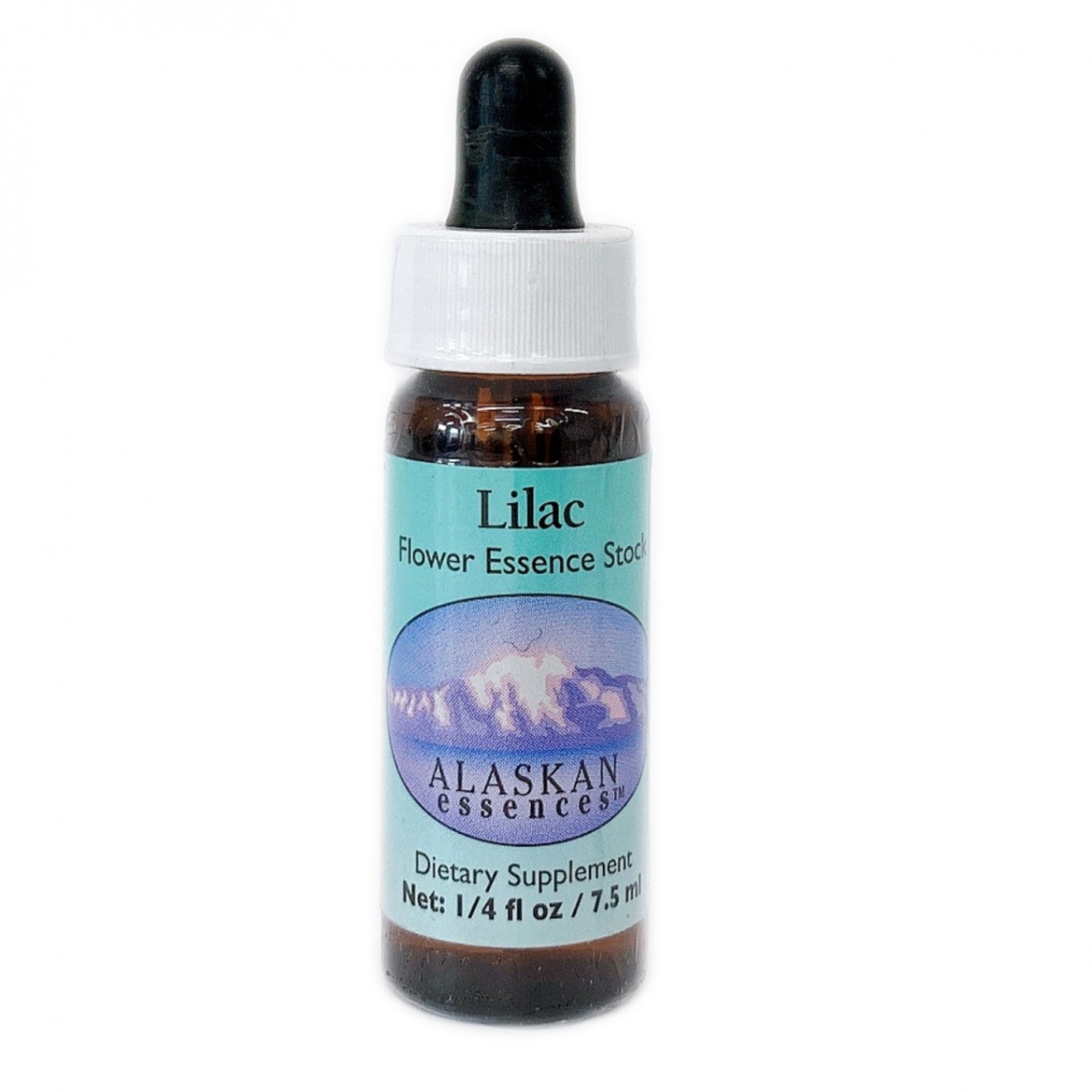 ライラック[Lilac]