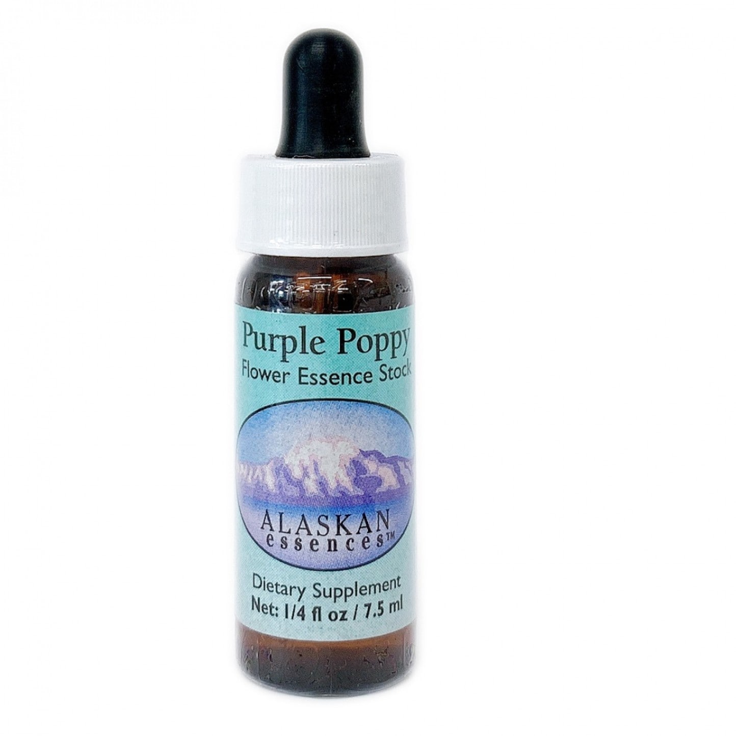 パープルポピー[Purple Poppy]