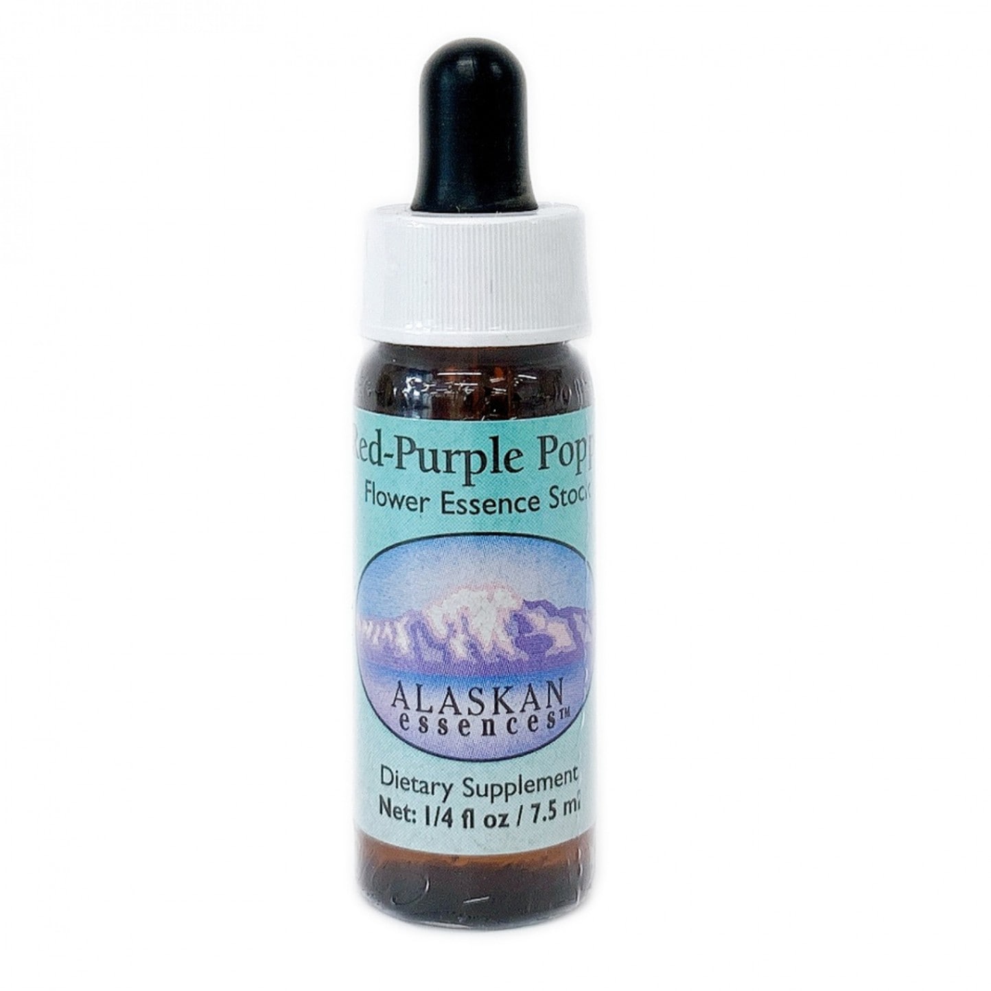 レッドパープルポピー[Red-Purple Poppy]