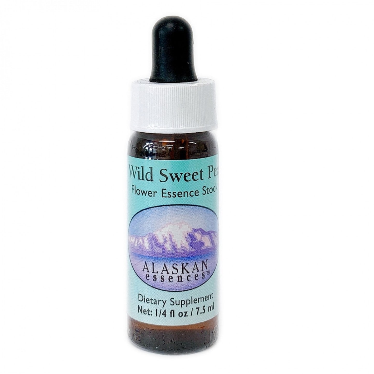 ワイルドスウィートピー[Wild Sweet Pea]