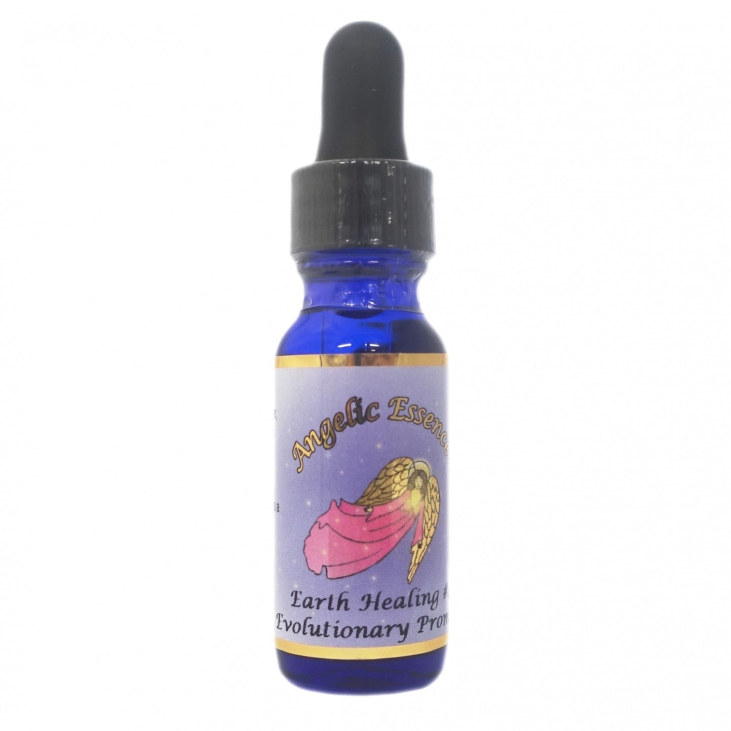 エボリューショナリー プロミス[Evolutionary Promise]#65