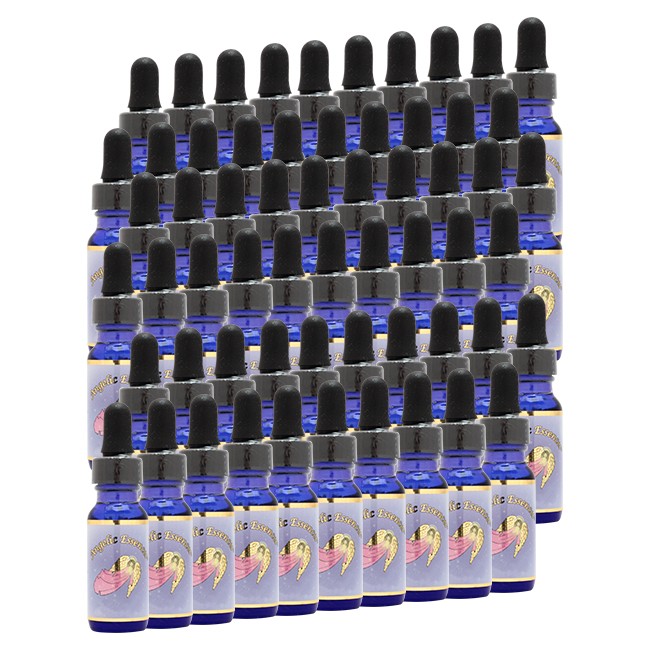 26.プラクティショナーズキット[Practitioner’s Kit]全60本