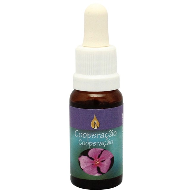 コーポレーション[Cooperacao/Cooperation]