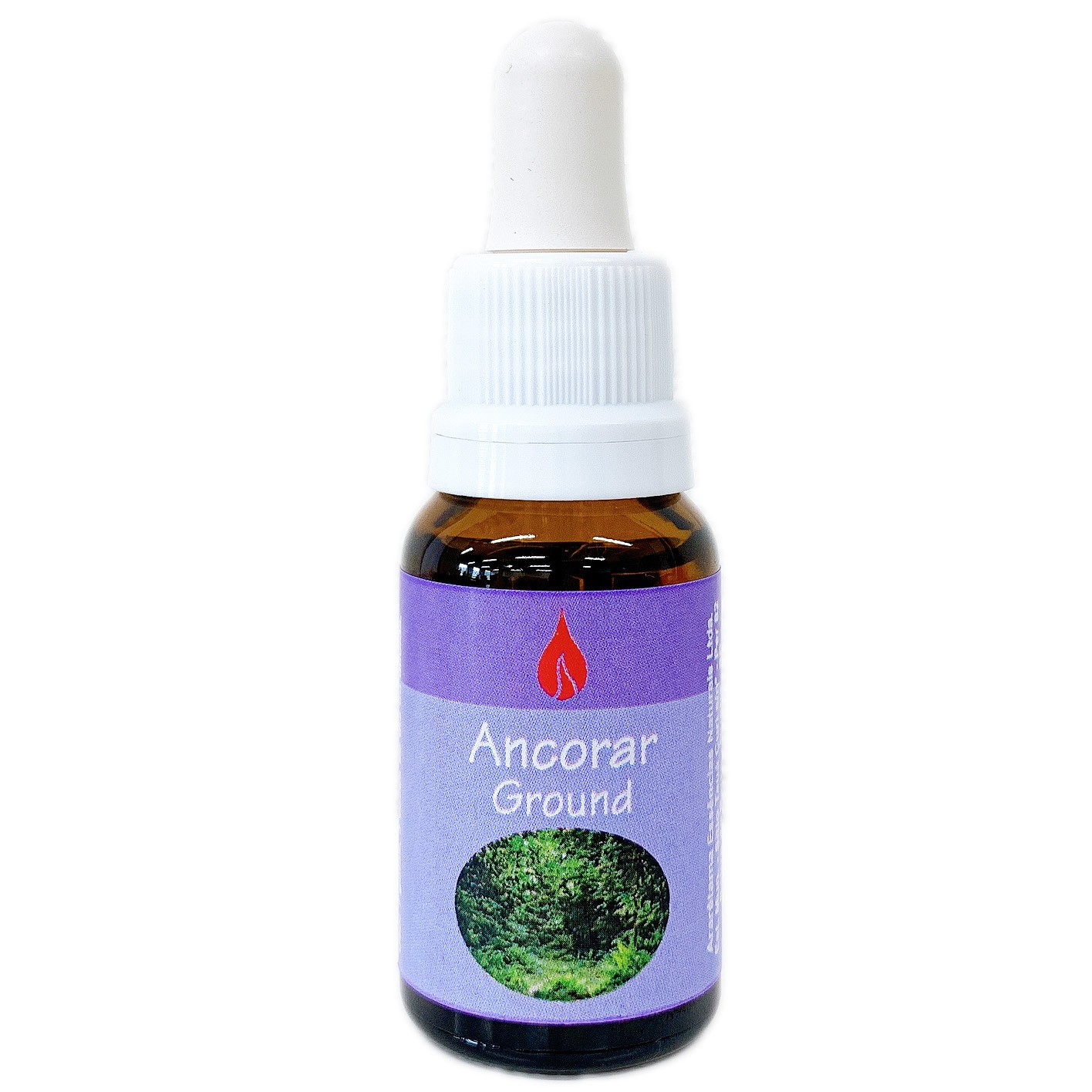 グラウンド[Ground] 『大地』　　