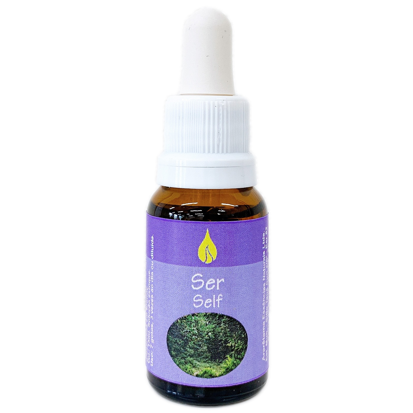 セルフ[Self] 『自己』　　　　　　