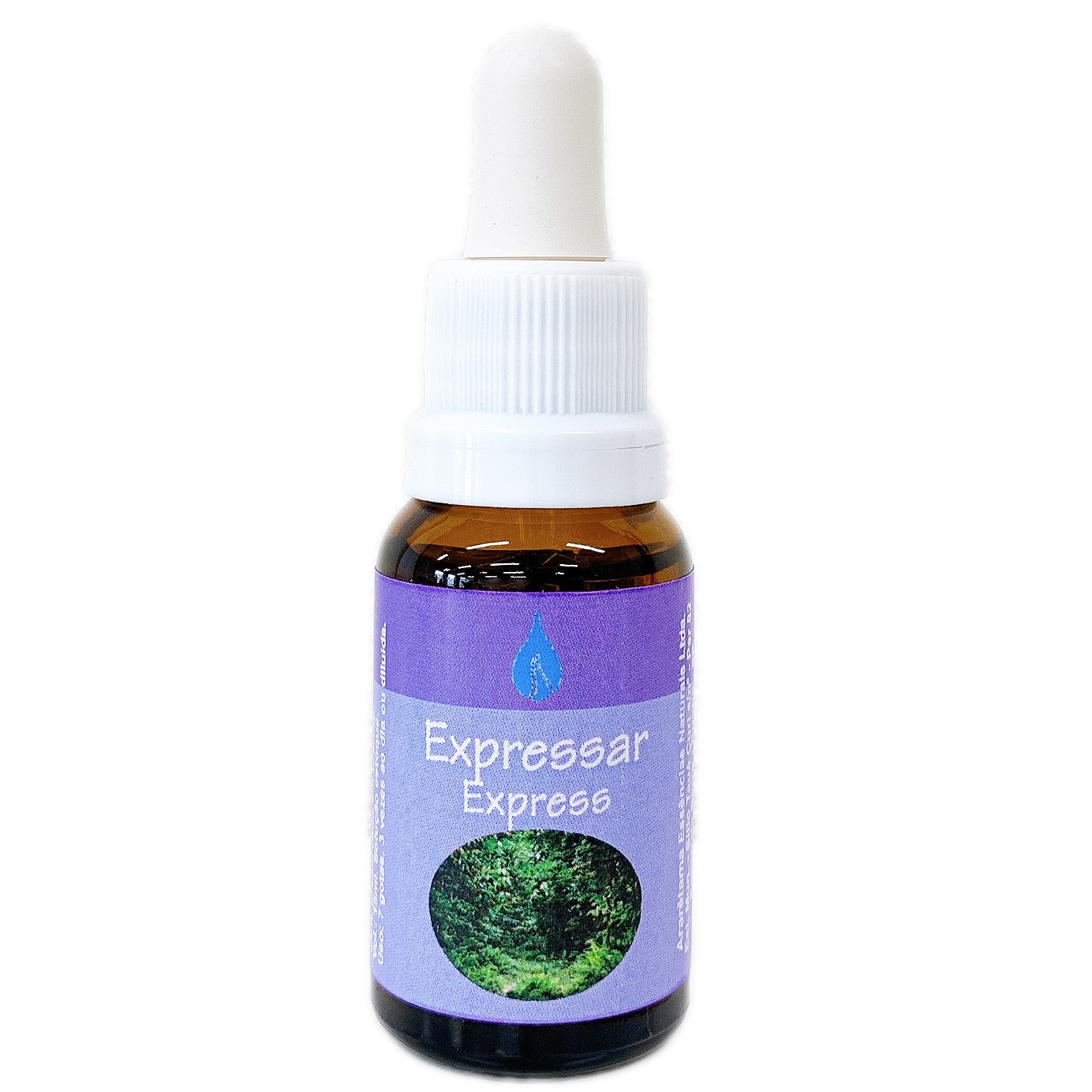 エクスプレス[Express] 『表現』